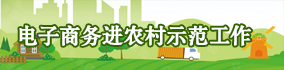 電子商務(wù)進(jìn)農(nóng)村示范工作